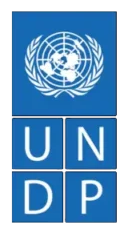 برنامج الأمم المتحدة الإنمائي — UNDP